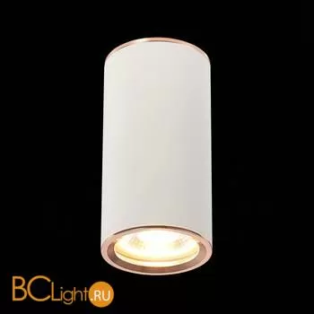 Потолочный светильник ST Luce Chomus ST111.527.01 - Фото 0