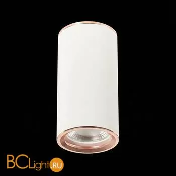 Потолочный светильник ST Luce Chomus ST111.527.01