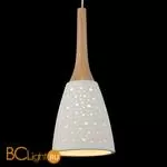 Подвесной светильник ST Luce SL288.503.01