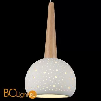 Подвесной светильник ST Luce SL288.553.01