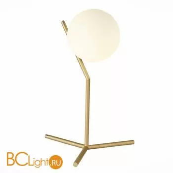 Настольный светильник ST Luce Codda SL1148.304.01