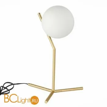 Настольный светильник ST Luce Codda SL1148.304.01 - Фото 0