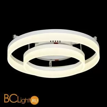 Потолочный светильник ST Luce SL928.502.02