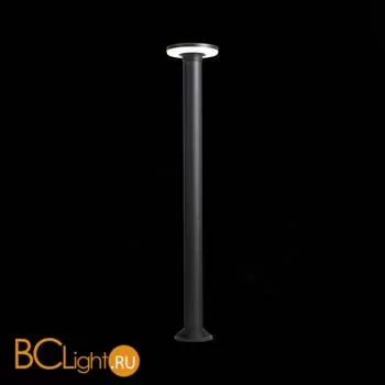 Садово-парковый фонарь ST Luce Contario SL087.415.01 - Фото 2