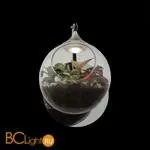 Бра ST Luce Creozione SL551.101.01 - Фото 4