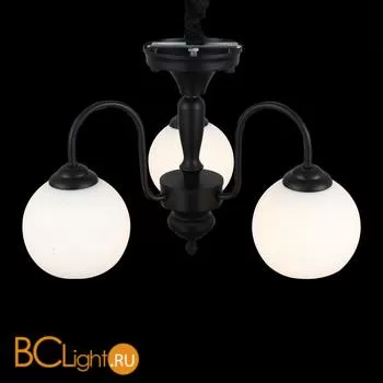 Люстра ST Luce Cupo SL685.403.03 - Фото 2