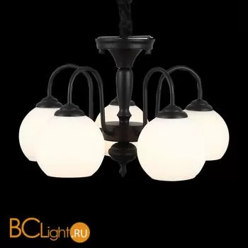 Люстра ST Luce Cupo SL685.403.05