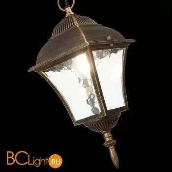 Уличный подвесной светильник ST Luce Domenico SL082.203.01 - Фото 4