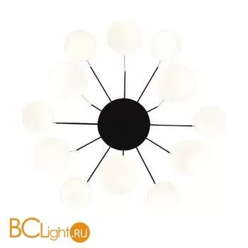 Подвесной светильник ST Luce Donolo SL395.403.12 - Фото 1