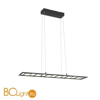 Подвесной светильник ST Luce Elicano SL842.403.06