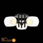 Люстра ST Luce Elleto SL1483.402.03 - Фото 5