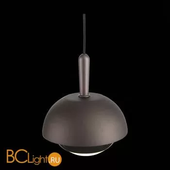 Подвесной светильник ST Luce Entolla SL1602.323.01 - Фото 4