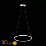 Подвесной светильник ST Luce Erto SL904.203.01 - Фото 2