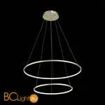 Подвесной светильник ST Luce Erto SL904.203.02 - Фото 0