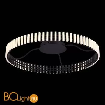 Потолочный светильник ST Luce Estense SL6203.402.50 - Фото 3