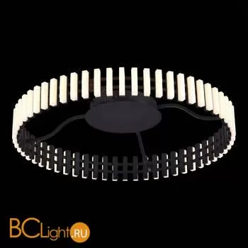 Потолочный светильник ST Luce Estense SL6203.402.40 - Фото 3