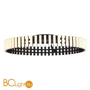 Потолочный светильник ST Luce Estense SL6203.402.40 - Фото 1