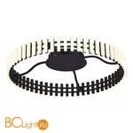 Потолочный светильник ST Luce Estense SL6203.402.40