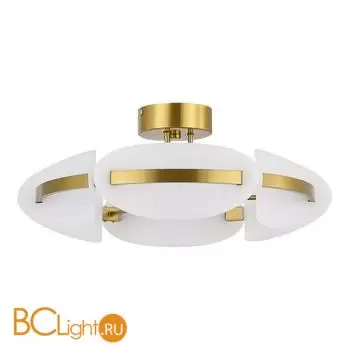 Потолочный светильник ST Luce Etoile SL1304.302.45 - Фото 0