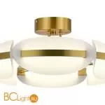 Потолочный светильник ST Luce Etoile SL1304.302.45 - Фото 2