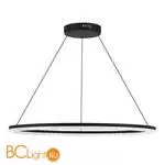 Подвесной светильник ST Luce EUCLIDICS SL1018.413.01 - Фото 1