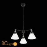 Люстра ST Luce Evoluto SL237.413.03 - Фото 6