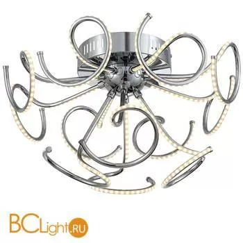 Потолочный светильник ST Luce Exclu SL905.112.12