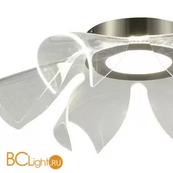 Потолочный светильник ST Luce FAIRY SL6235.102.20 - Фото 1