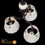 Люстра ST Luce Famiglia SL259.503.03 - Фото 3