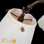 Люстра ST Luce Famiglia SL259.503.05 - Фото 4