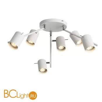 Потолочная люстра ST Luce Fanale SL597.502.06