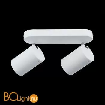 Спот (точечный светильник) ST Luce Fanale SL597.501.02 - Фото 0