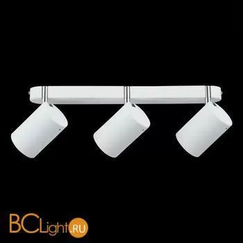 Спот (точечный светильник) ST Luce Fanale SL597.501.03 - Фото 0