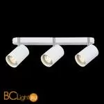 Спот (точечный светильник) ST Luce Fanale SL597.501.03