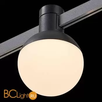 Трековый светильник ST Luce FARM ST815.406.05