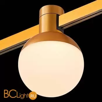 Трековый светильник ST Luce FARM ST815.206.05