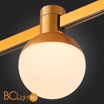 Трековый светильник ST Luce FARM ST815.206.05 - Фото 0