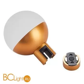 Трековый светильник ST Luce FARM ST815.206.05 - Фото 1