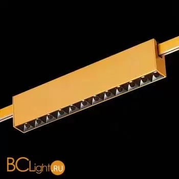 Трековый светильник ST Luce FARM ST816.206.12