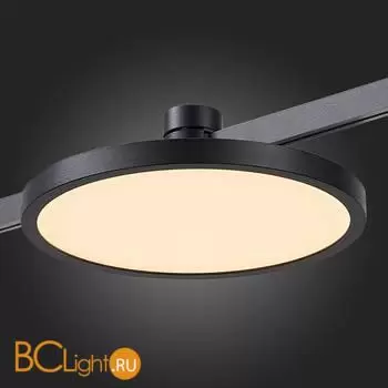 Трековый светильник ST Luce FARM ST818.406.12 - Фото 1