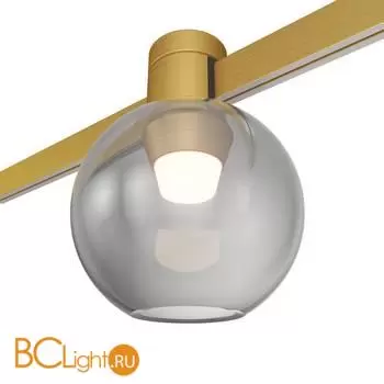 Трековый светильник ST Luce FARM ST819.206.03