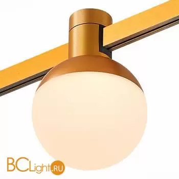 Трековый светильник ST Luce FARM ST815.246.05