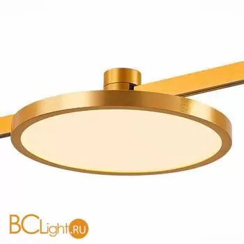 Трековый светильник ST Luce FARM ST818.246.12