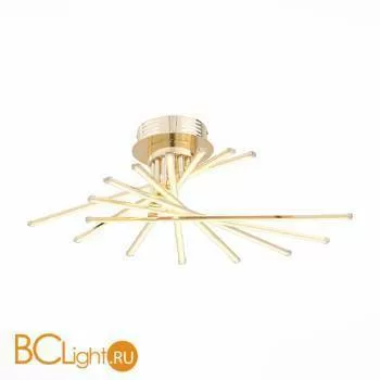 Потолочный светильник ST Luce Fasci SL926.202.08