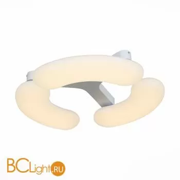 Потолочный светильник ST Luce Fave SL808.502.03