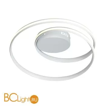 Потолочный светильник ST Luce Federe SL1505.502.01