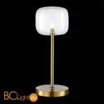 Настольная лампа ST Luce Finn SL1049.304.01 - Фото 1