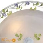 Настенно-потолочный светильник ST Luce Fiori SL695.502.03 - Фото 0