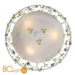 Настенно-потолочный светильник ST Luce Fiori SL695.502.03