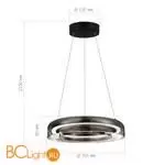 Подвесной светильник ST Luce FORAY SL6019.323.01 - Фото 2